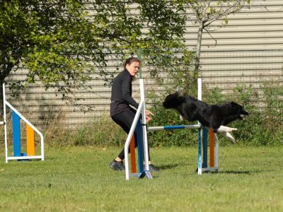 Agility Alexia