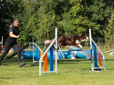 Agility corinne