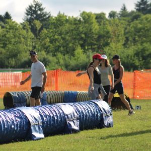 Journée adhérents Agility loisir