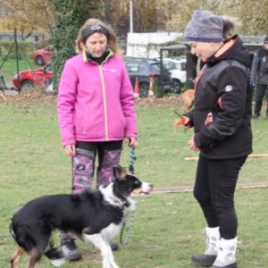 Stage technique / marche au pied en compétition