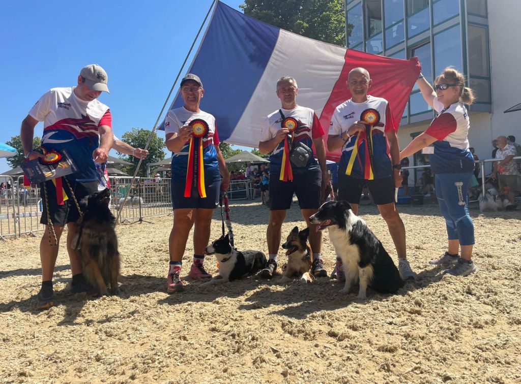 Championnat du monde Senior Agility