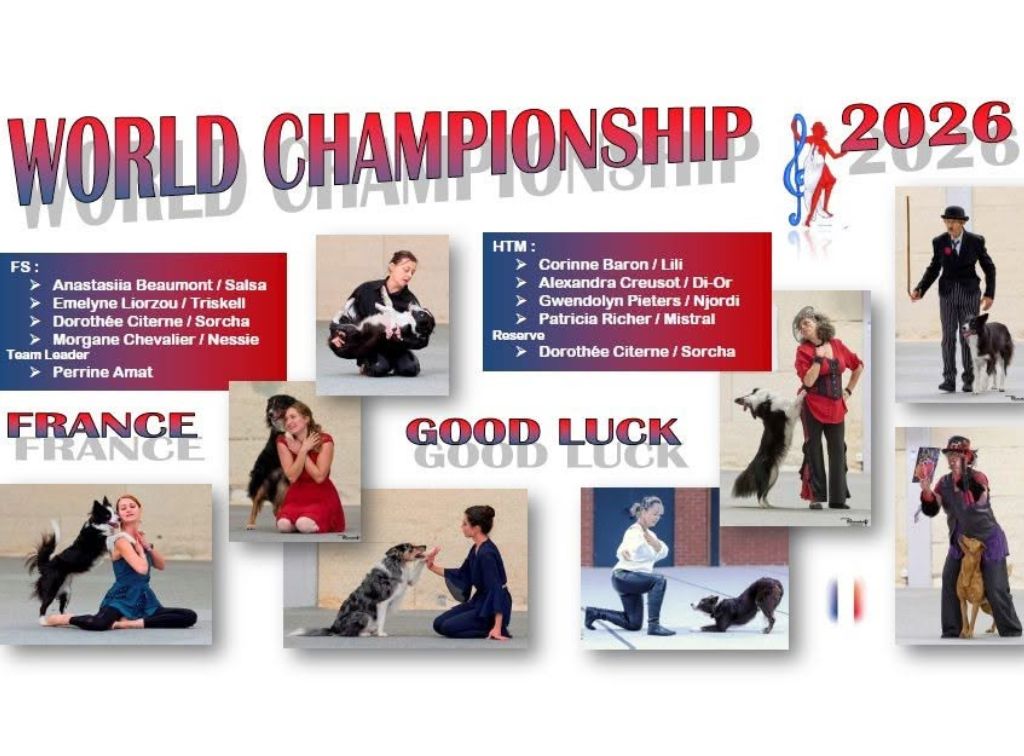 Dog Dancing_championnat du monde_2026